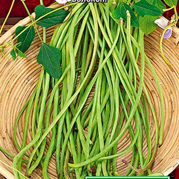 Вигна Длинные рукава, 5 г Вигна Длинные рукава, 5 г