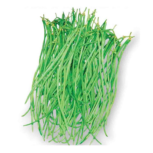 Фасоль спаржевая Мидори Но Таки F1, 10 шт. Marutane Фасоль спаржевая Мидори Но Таки F1, 10 шт. Marutane