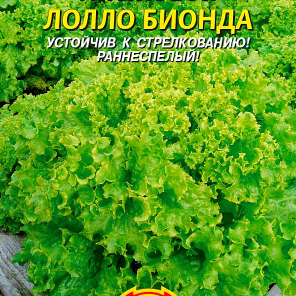 Салат Лолло Бионда, 0,5 г Салат Лолло Бионда, 0,5 г
