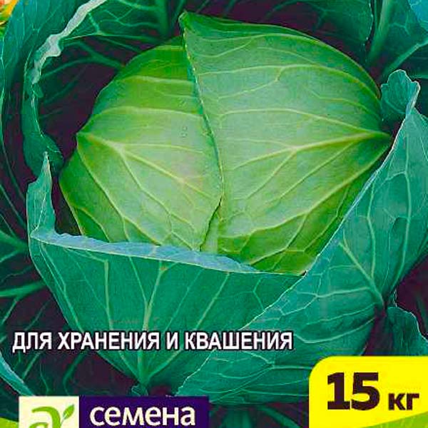 Капуста белокочанная Сибирский Гигант, 0,5 г Капуста белокочанная Сибирский Гигант, 0,5 г