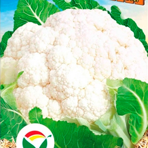 Капуста цветная Боник F1, 10 шт. Соседям на зависть Семена Голландии Капуста цветная Боник F1, 10 шт. Соседям на зависть Семена Голландии