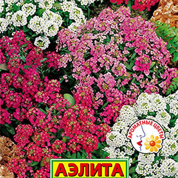 Алиссум Кристалина, Смесь, 0,02 г Алиссум Кристалина, Смесь, 0,02 г
