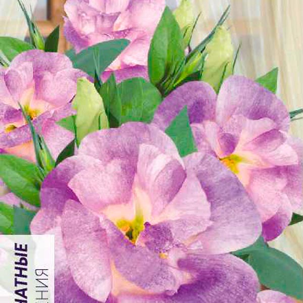 Эустома Мариачи Мисти Блю F1, 5 шт. Sakata Эустома Мариачи Мисти Блю F1, 5 шт. Sakata