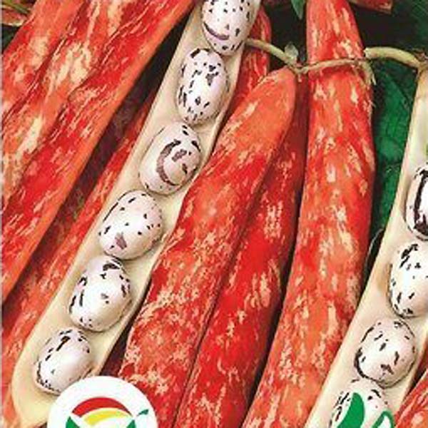 Фасоль Борлотто, 5 г Проверено в Сибири Фасоль Борлотто, 5 г Проверено в Сибири