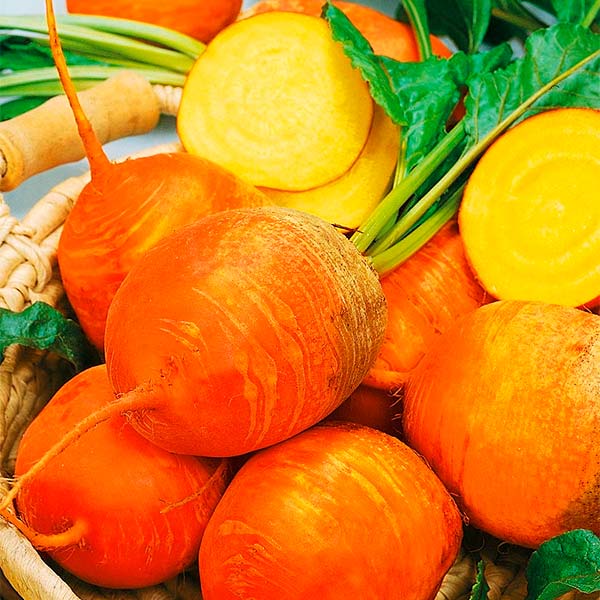 Свекла Болдор, 0,5 г Свекла Болдор, 0,5 г