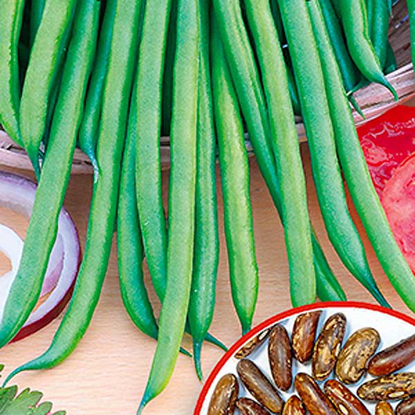 Фасоль овощная Кетти, 5 г  Фасоль овощная Кетти, 5 г