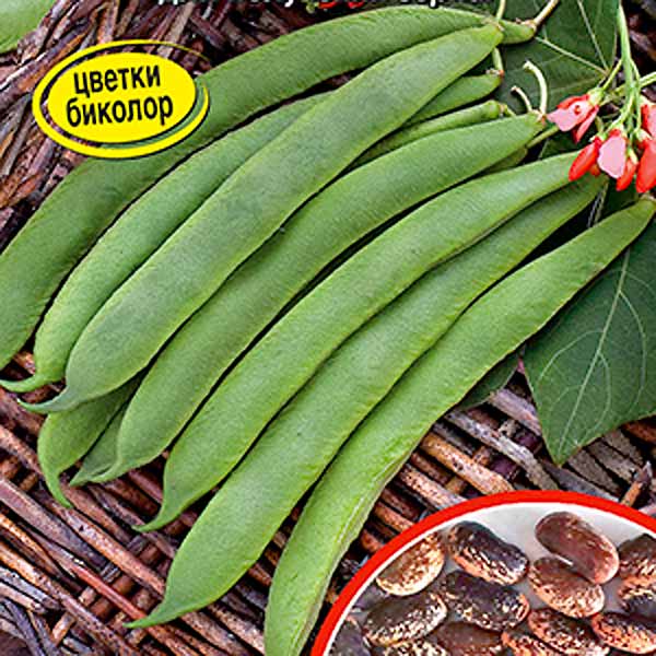 Фасоль вьющаяся Ажурная беседка, 5 г Фасоль вьющаяся Ажурная беседка, 5 г