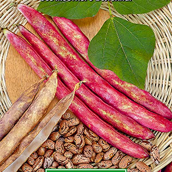 Фасоль овощная Анастасия, 5 г Фасоль овощная Анастасия, 5 г