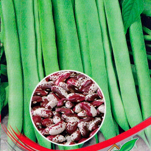 Фасоль овощная лущильная Супер Королевская, 15 шт.  Фасоль овощная лущильная Супер Королевская, 15 шт.