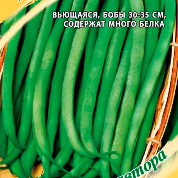 Вигна Макаретти, 10 шт. Семена от автора Вигна Макаретти, 10 шт. Семена от автора