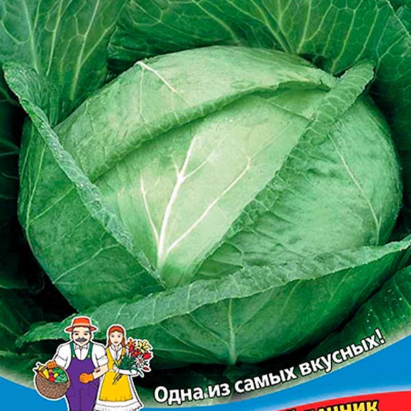 Капуста белокочанная Сахарный гигант ®, 0,3 г Капуста белокочанная Сахарный гигант ®, 0,3 г