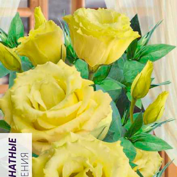 Эустома махровая ABC Желтая, 5 шт. PanAmerican Seeds Эустома махровая ABC Желтая, 5 шт. PanAmerican Seeds