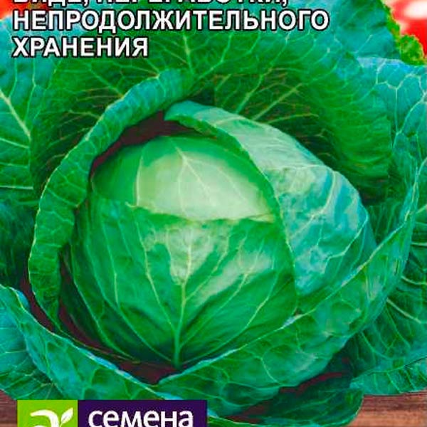 Капуста белокочанная Тобия F1, 15 шт. Seminis Семена из Голландии Капуста белокочанная Тобия F1, 15 шт. Seminis Семена из Голландии