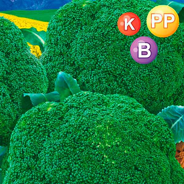 Капуста брокколи Зеленые колобки, 0,2 г Проверено в Сибири Капуста брокколи Зеленые колобки, 0,2 г Проверено в Сибири