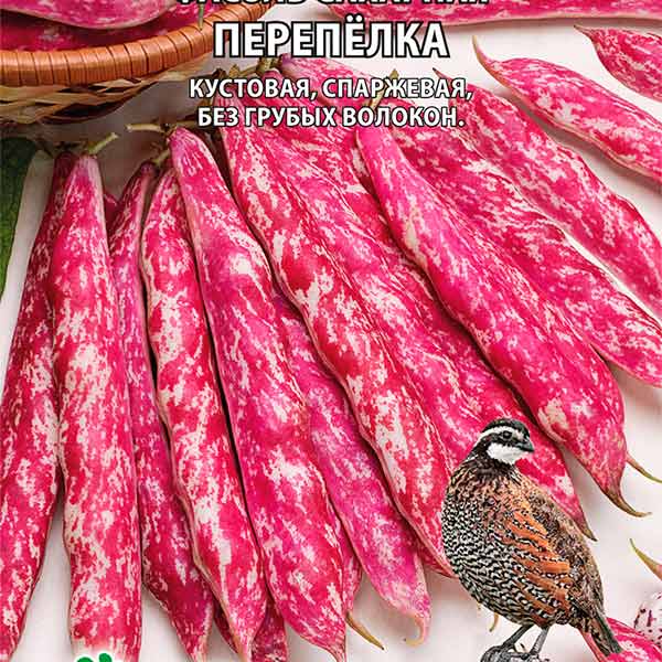 Фасоль сахарная Перепёлка, 10 шт. Любовь да голуби Фасоль сахарная Перепёлка, 10 шт. Любовь да голуби