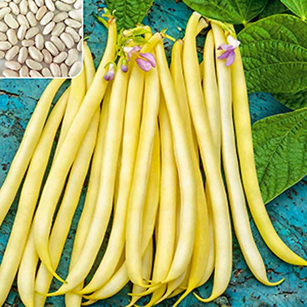 Фасоль вьющаяся Солнечный поток, 5 г Сделано в Италии Фасоль вьющаяся Солнечный поток, 5 г Сделано в Италии