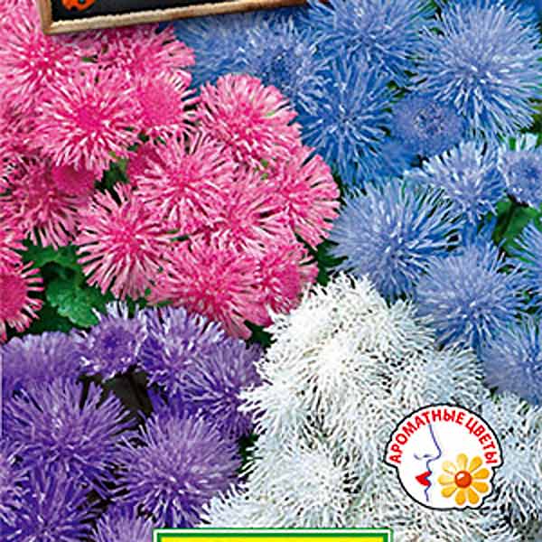 Агератум Мексиканский Краски лета, Смесь, 0,1 г Агератум Мексиканский Краски лета, Смесь, 0,1 г