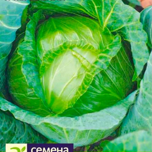 Капуста белокочанная Антикиллер, 0,3 г Произведено в Сибири Капуста белокочанная Антикиллер, 0,3 г Произведено в Сибири