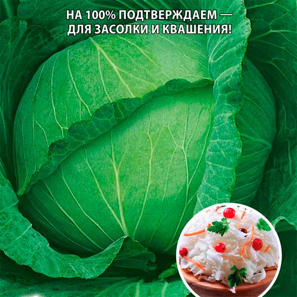 Капуста белокочанная Засолиха F1, 0,1 г Любовь да голуби Капуста белокочанная Засолиха F1, 0,1 г Любовь да голуби