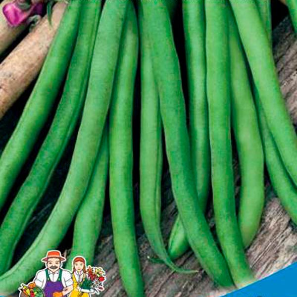 Фасоль сахарная Весеннее чудо, 10 шт. Фасоль сахарная Весеннее чудо, 10 шт.