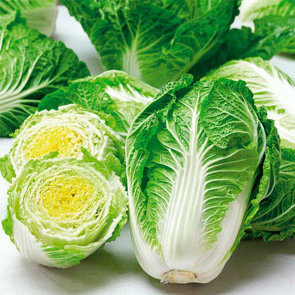 Капуста пекинская Эндуро F1, 16 шт. Капуста пекинская Эндуро F1, 16 шт.