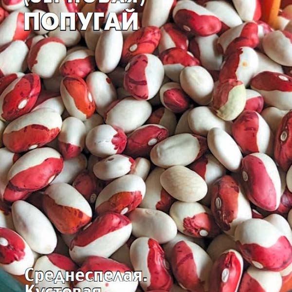 Фасоль зерновая Попугай, 5 г Фасоль зерновая Попугай, 5 г