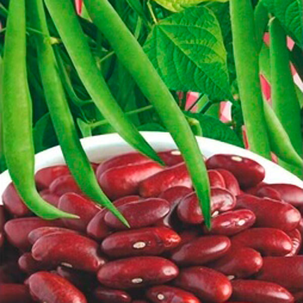 Фасоль Армянская Красная, 5 г Проверено в Сибири Фасоль Армянская Красная, 5 г Проверено в Сибири