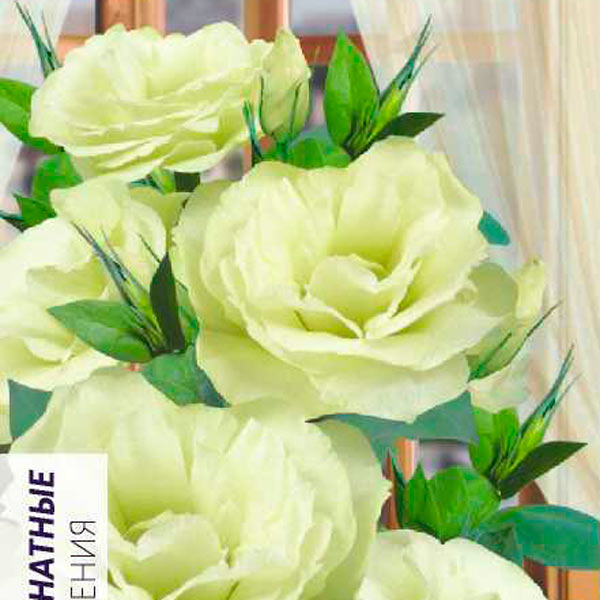 Эустома Мариачи Лайм Грин F1, 5 шт. Sakata Эустома Мариачи Лайм Грин F1, 5 шт. Sakata