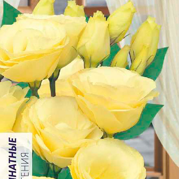 Эустома Мариачи Желтая F1, 3 шт. Sakata Эустома Мариачи Желтая F1, 3 шт. Sakata