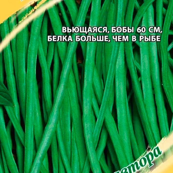 Вигна Графиня, 10 шт. Семена от автора Вигна Графиня, 10 шт. Семена от автора