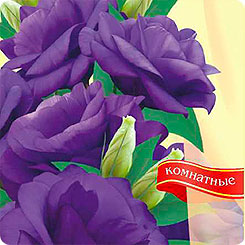 Эустома Мариачи Синяя F1, 5 шт. Sakata Эустома Мариачи Синяя F1, 5 шт. Sakata