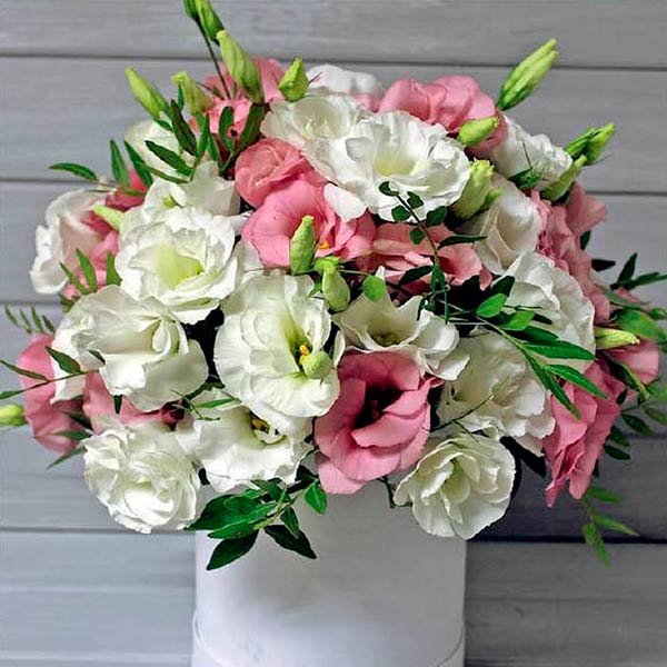 Цветочная смесь Венский вальс, 6 драже Премиум Дуэты Цветочная смесь Венский вальс, 6 драже Премиум Дуэты