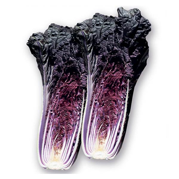 Капуста пекинская Куро Но Май F1, 10 шт. Marutane Капуста пекинская Куро Но Май F1, 10 шт. Marutane