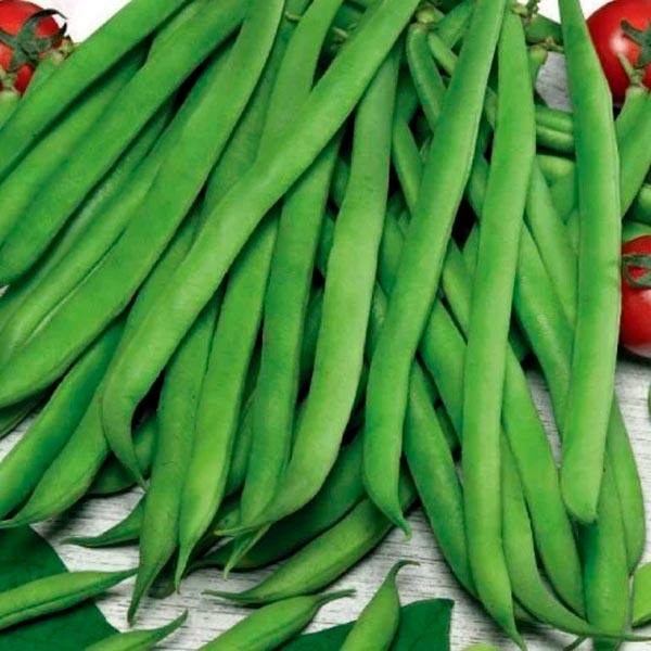 Фасоль спаржевая  Нота, 5 г Урожай на окне  Фасоль спаржевая  Нота, 5 г Урожай на окне